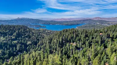 an aerial view of a lake in a forest at A-Frame Retreat Chic and Modern Forest Views Hammock Outdoor Dining Decks in Lake Arrowhead