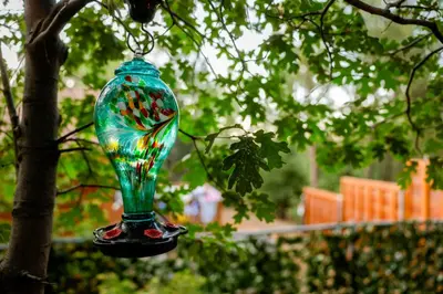 a glass vase hanging from a tree at The nest on towne trail #2480 in Big Bear Lake