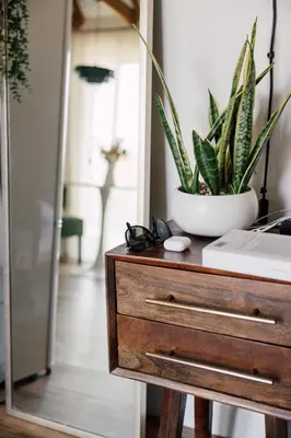 a wooden dresser with a plant on top of it at Sunny Days Tiny House with private entrance, pool and view in West Covina
