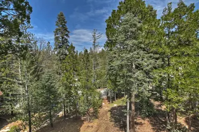 an aerial view of a forest of trees at Lake Arrowhead Fishermans Haus in Lake Arrowhead