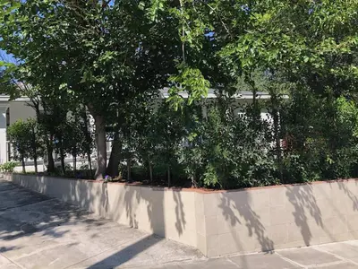 a retaining wall with trees on the side of a street at Glendale Hills Hideaway in Glendale