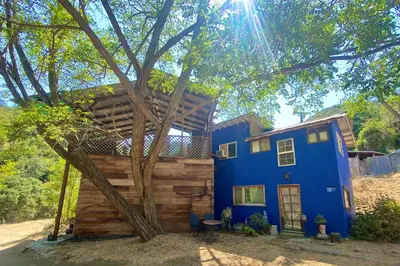 a blue house with a tree in front of it at Topanga Panoramic View Loft with Trails & Creeks in Topanga