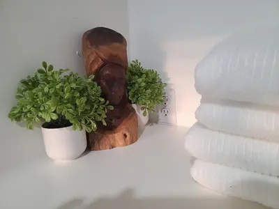 a wooden head sitting next to two potted plants at Westside Retreat w Yard, Grill, Hot Tub, Near Sofi Stadium, LAX, and the Beach in Los Angeles