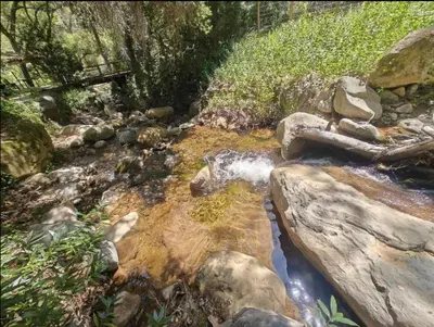 a stream of water with rocks in a forest at Japanese Tea House with Private Mountain Trails and Creek in Topanga Park