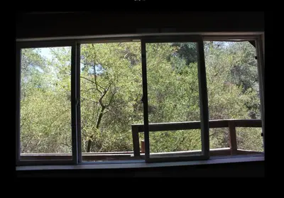 a window in a room with a view of trees at Japanese Tea House with Private Mountain Trails and Creek in Topanga Park