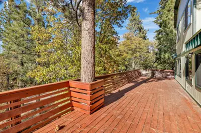 a tree on a brick walkway next to a building at Mountain Hideaway on Maryland #2494 in Big Bear Lake