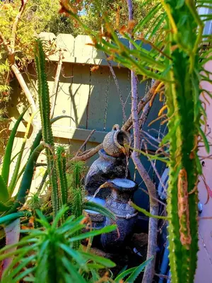 a vase sitting in the middle of some plants at Sparkling Gem Set Between Mountain and Ocean in Topanga
