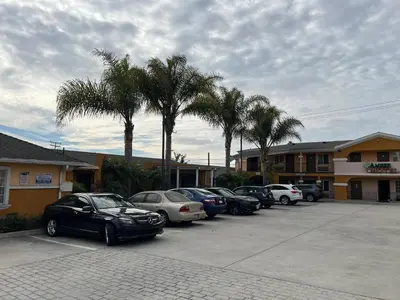 a row of cars parked in a parking lot with palm trees at Amber Motel in Inglewood