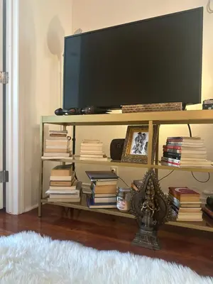 a book shelf with books and a flat screen tv at Cozy Studio In West Hollywood in Los Angeles