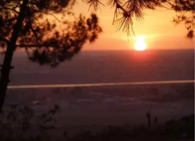 a sunset over the ocean with a tree in the foreground at Hilltop Tavern and Inn in Apple Valley