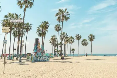 a beach with palm trees and a sign on it at 5 Star Private House 5 rooms in Los Angeles
