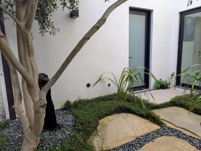 a tree in front of a white building at Luxury suite with private entrance in Los Angeles