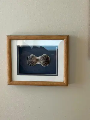 a picture of a bird hanging on a wall at UNIQUE SPANISH HACIENDA HOUSE with POOL VINTAGE 1948 EUROPEAN ANTIQUES ETHNIC ART in Bakersfield