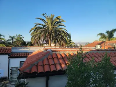 a tile roof with a palm tree in the background at 3 bedroom apartment by the MrC Hotel and 5 minutes to Rodeo Drive WiFi TV Patio walk to restaurants in Los Angeles