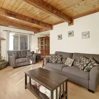 Aeroplane Gambrel Chalet- Adorable Airport Retreat Cottage
