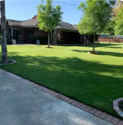 a yard with green grass and trees in front of a house at Cozy Room in Bakersfield