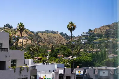 a city with palm trees and a mountain at Bright Studio on Sunset Blvd Pool, Parking, Gym in Los Angeles