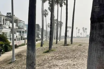 a row of palm trees on a beach with houses at Maison on the Beach in Los Angeles