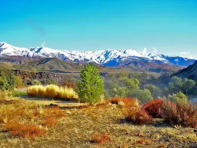a field with trees and snow covered mountains at Ojai Wilderness Off-The-Grid Sespe House in Ojai