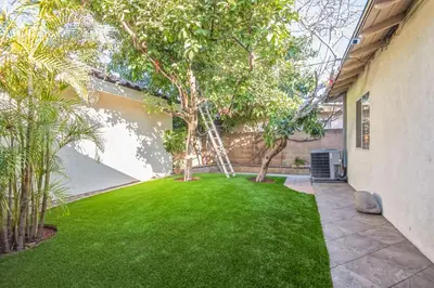 a yard with a tree and a ladder at Peaceful Oasis in Anaheim