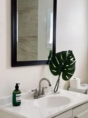 a bathroom sink with a mirror and a green plant at Cozy private room B in S Central LA in Los Angeles