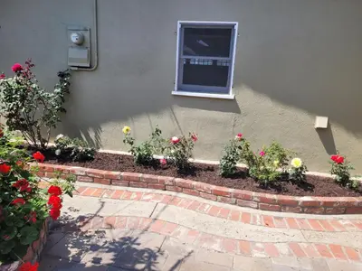 a flower bed with flowers in front of a window at Extremely Chill 3 Bedroom Home in Long Beach
