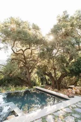 a swimming pool in front of a group of trees at Topanga Canyon Oasis by Colby & Conrad in Topanga