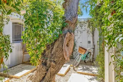 a tree with a piece of art on it next to a bike at Gillians Room- Pet Friendly in Summerland