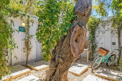 a tree with a face carved into the trunk at Jennifers Room - Pet Friendly in Summerland