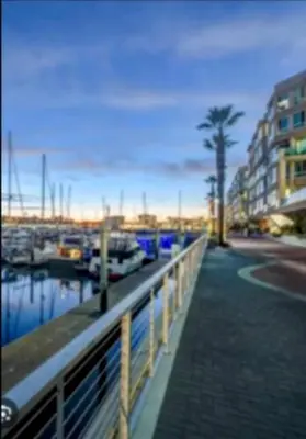 a marina with boats in the water and a palm tree at Stunning 2BR Penthouse Patio & View Venice MDR in Los Angeles