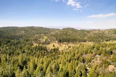 an aerial view of a forest of trees at Cozy Owl Lodge, Central AC & Hea, Spa Tub & BBQ in Lake Arrowhead