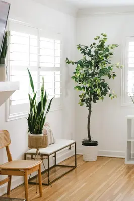 a living room with two potted plants and a bench at LA Karaoke Fire Pit Ping-Pong Cowboy Pool in Glendale