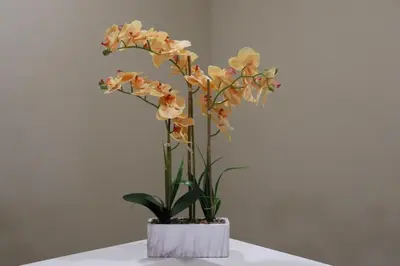 a white vase with flowers in it on a table at Pretty Relaxed Me in Brea