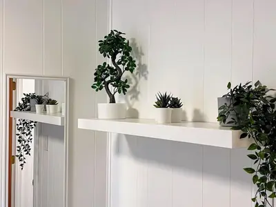 a row of white shelves with potted plants on them at Tranquil and Secluded Retreat in Topanga Canyon in Topanga