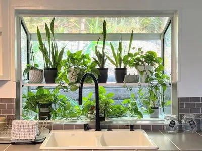 a kitchen sink with a window with potted plants at Tranquil and Secluded Retreat in Topanga Canyon in Topanga