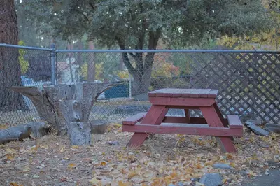 a picnic table sitting in front of a fence at Ray's Dear Cottage in Wrightwood