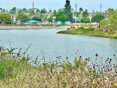 a body of water with a beach in the background at Greenbelt Guesthouse - Unlimited Peace & Privacy Golf Bowling Green & More in Long Beach