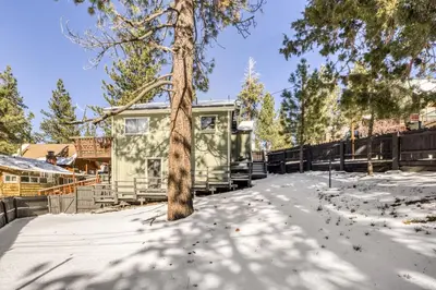 a tree in the snow in front of a house at Modern Lake Cabin for Family, Friends and Pets! in Big Bear Lake