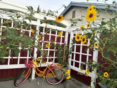 an orange bike parked next to a fence with sunflowers at In a quiet neighborhood near the Main Street-Room C in Rowland Heights