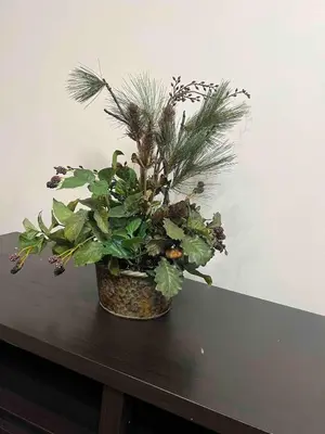 a potted plant sitting on top of a table at Beautiful 2-bedroom downstairs unit by LAX, SoFi, BMO, USC in Los Angeles