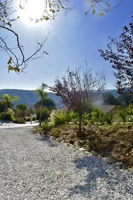 a gravel road with a tree in the middle at Cozy Container in Devore Heights, California, for Glamping Getaways on Route 66 in Devore Heights