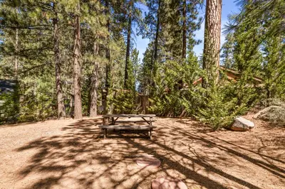 a wooden bench sitting in the middle of a forest at Comstock Cabin by Rather Be Properties in Big Bear Lake