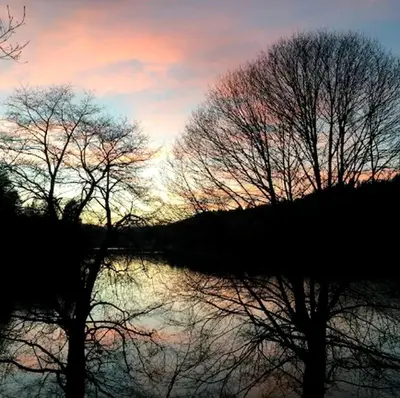 two trees in front of the water with a sunset at Unique Three-Level Dome near Lake Gregory in Crestline, California in Crestline