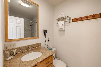 a bathroom with a sink and a mirror and a toilet at Big Bear Lakefront Lodge in Big Bear Lake