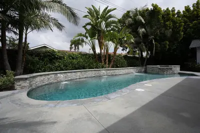 a swimming pool in a yard with palm trees at 4 bedroom, 3 bathrooms Pool Home in Orange