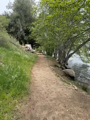 a dirt path next to a river with trees at Cozy Crestline Cabin Getaway in Crestline