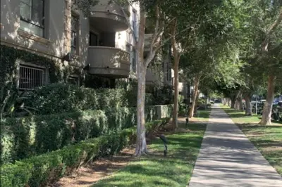 a sidewalk in front of a building with trees at LALAs House- 1br with Free Parking, Pool and Sauna in Los Angeles