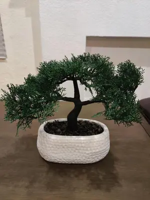 a bonsai tree in a white pot on a table at sofi intuit cozy home free parking queen beds in Inglewood