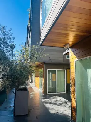 a house with a potted tree next to a building at Modern New Studio Cozy&Prime Location in North Sherman Way