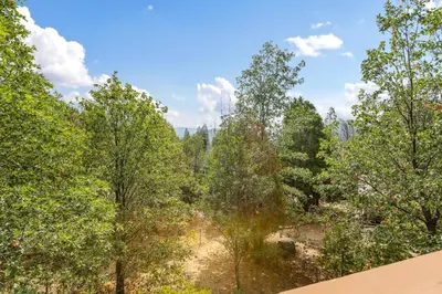 an overhead view of a forest of trees at Our Secret Getaway - Two Spacious Living Areas in Lake Arrowhead